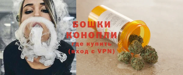 молекула духа Лабытнанги
