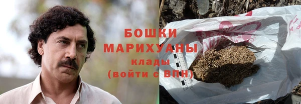 молекула духа Лабытнанги