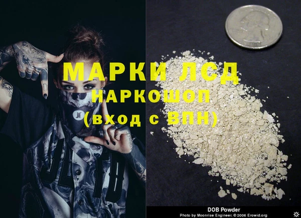 молекула духа Лабытнанги