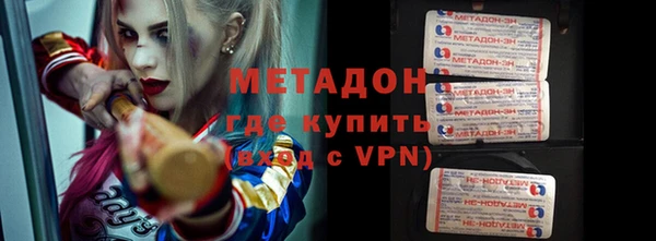 прущие грибы Ладушкин