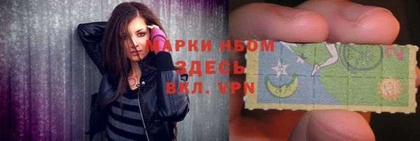 молекула духа Лабытнанги