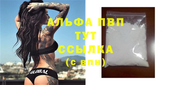 прущие грибы Ладушкин