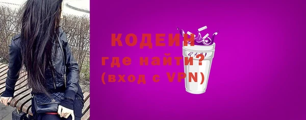 молекула духа Лабытнанги