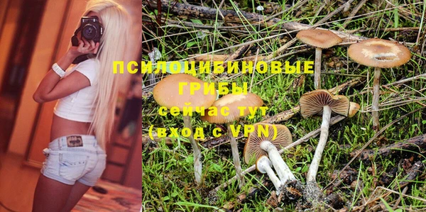молекула духа Лабытнанги