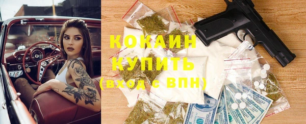 молекула духа Лабытнанги