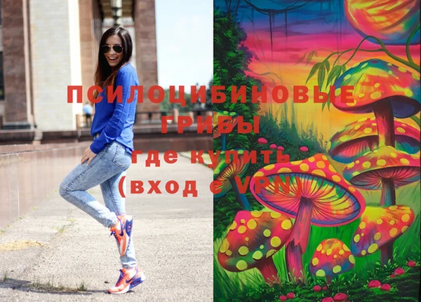 мдпв Лихославль