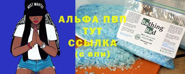 прущие грибы Ладушкин