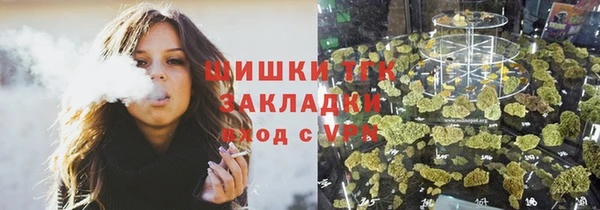 молекула духа Лабытнанги