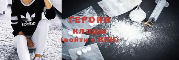 прущие грибы Ладушкин